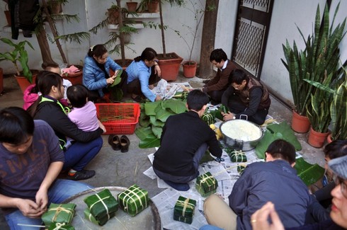 Đón Tết Cộng đồng 2014 tại Ấn Độ - ảnh 8